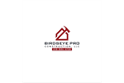 Birdseye Pro Construction